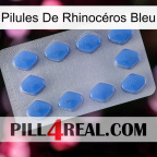 Pilules De Rhinocéros Bleu 21